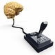 Illustration for article titled Scientists Accidentally Discover The Brains Consciousness Off Switch